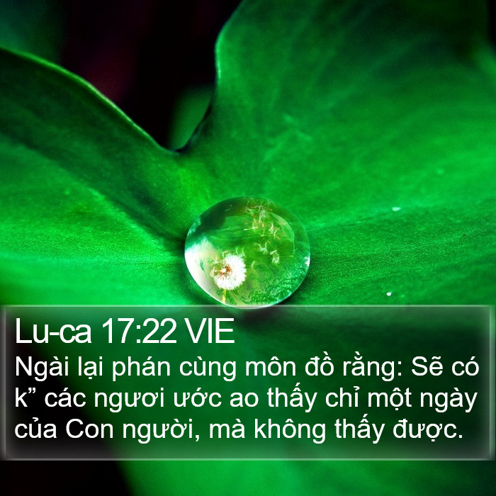 Lu-ca 17:22 VIE Bible Study