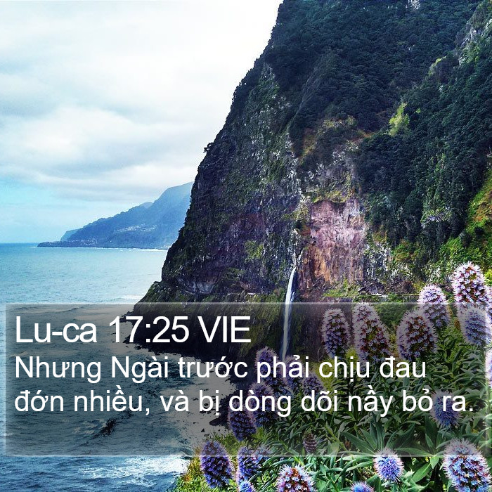 Lu-ca 17:25 VIE Bible Study