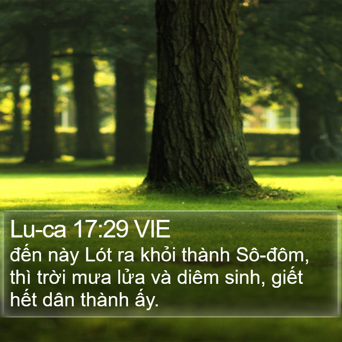 Lu-ca 17:29 VIE Bible Study