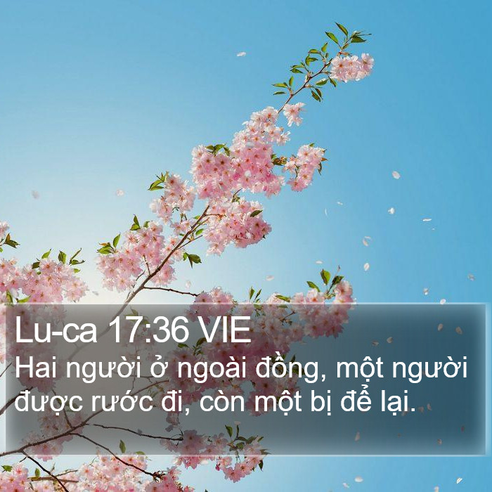Lu-ca 17:36 VIE Bible Study