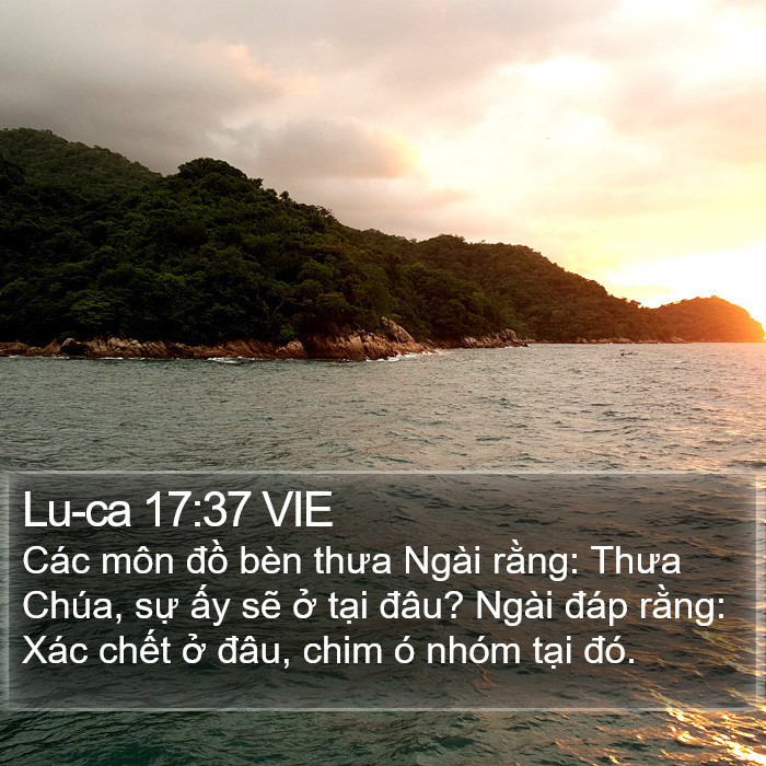 Lu-ca 17:37 VIE Bible Study