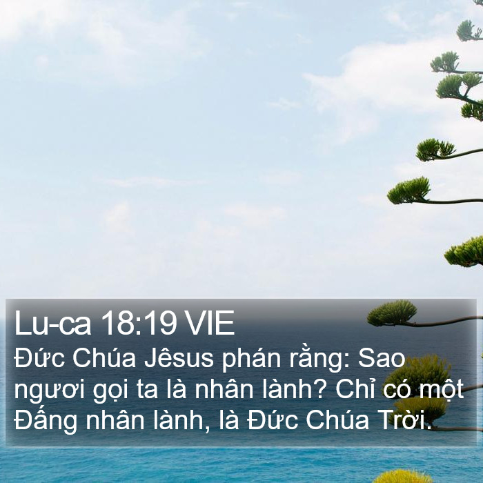 Lu-ca 18:19 VIE Bible Study