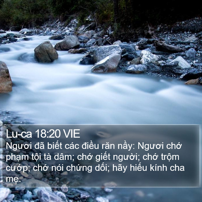 Lu-ca 18:20 VIE Bible Study