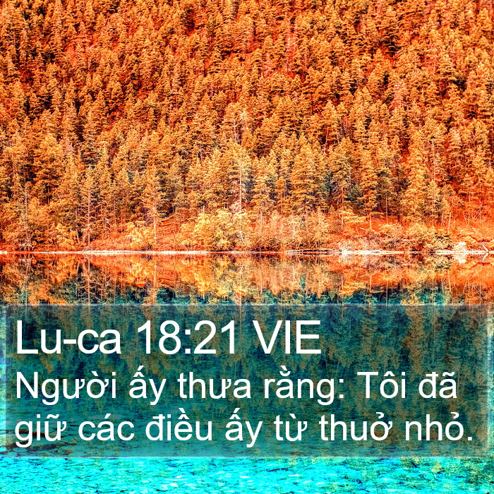 Lu-ca 18:21 VIE Bible Study