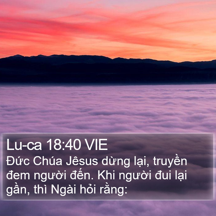 Lu-ca 18:40 VIE Bible Study