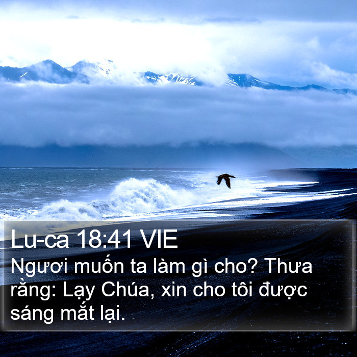 Lu-ca 18:41 VIE Bible Study