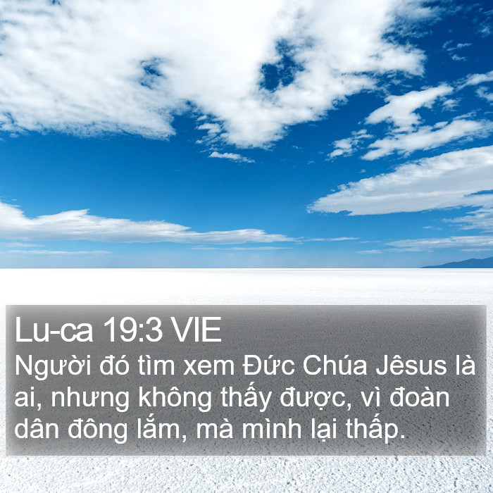 Lu-ca 19:3 VIE Bible Study