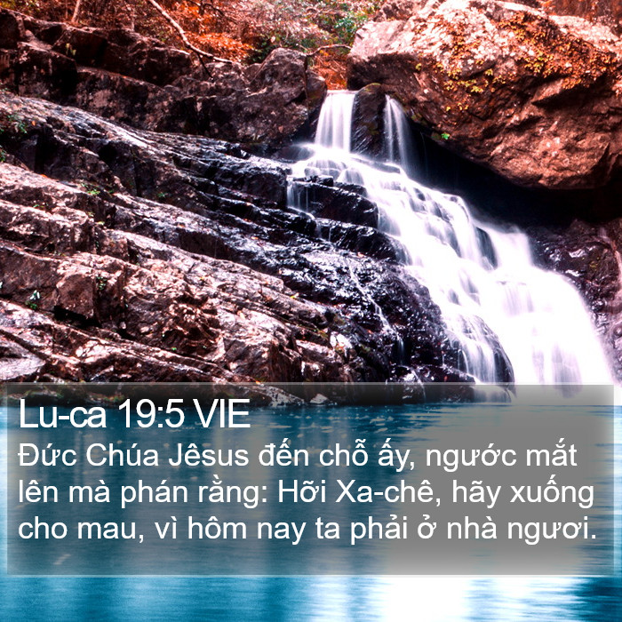 Lu-ca 19:5 VIE Bible Study