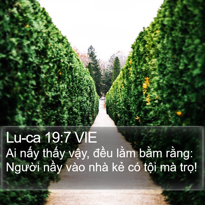 Lu-ca 19:7 VIE Bible Study