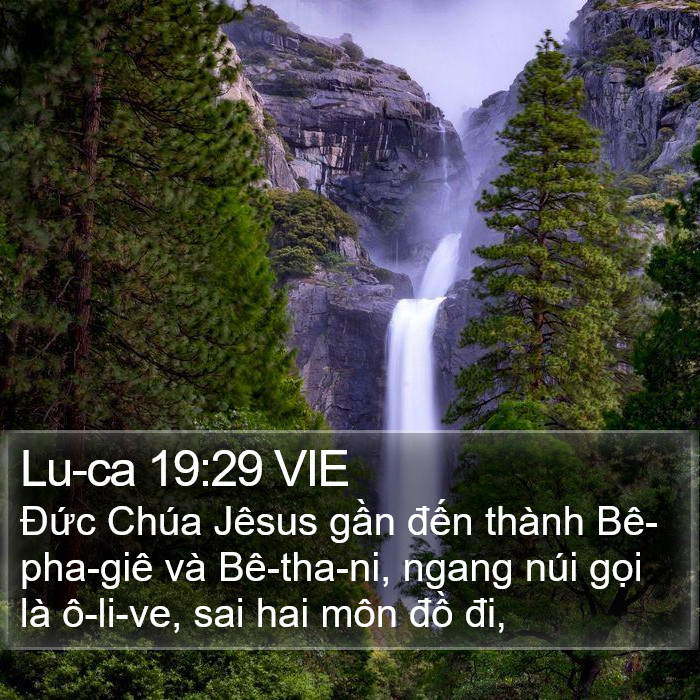 Lu-ca 19:29 VIE Bible Study