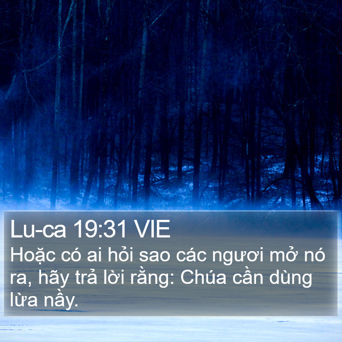 Lu-ca 19:31 VIE Bible Study