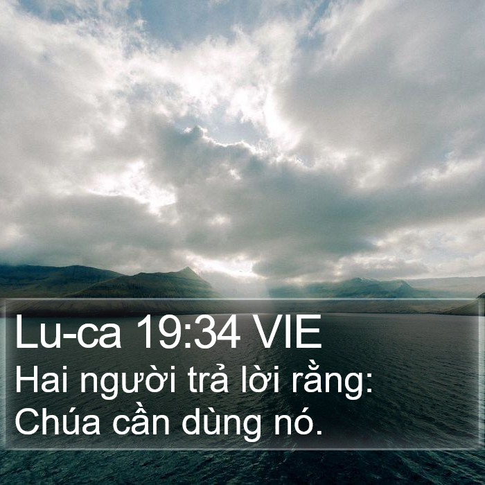 Lu-ca 19:34 VIE Bible Study