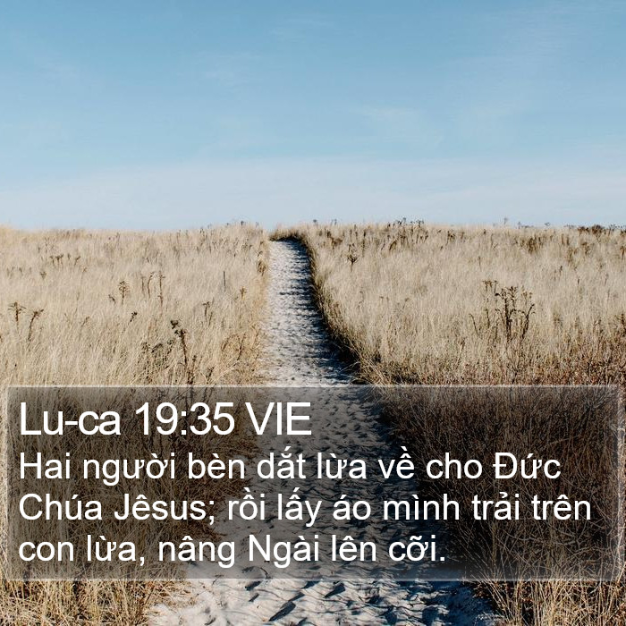 Lu-ca 19:35 VIE Bible Study