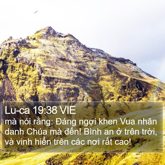 Lu-ca 19:38 VIE Bible Study