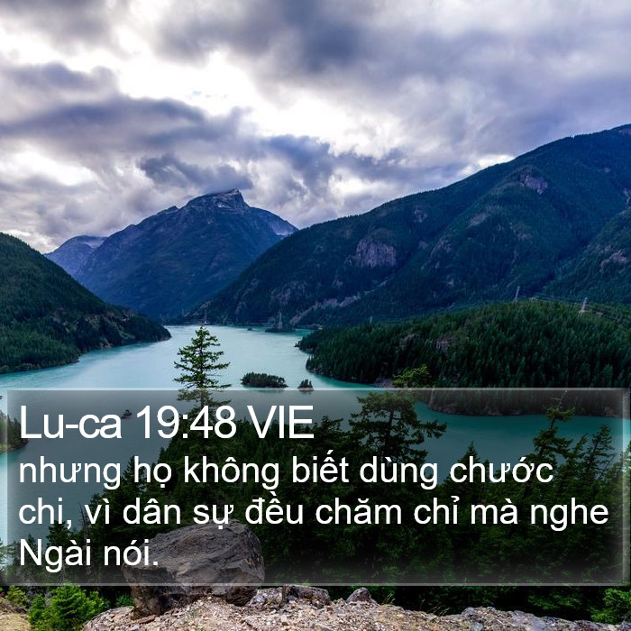 Lu-ca 19:48 VIE Bible Study