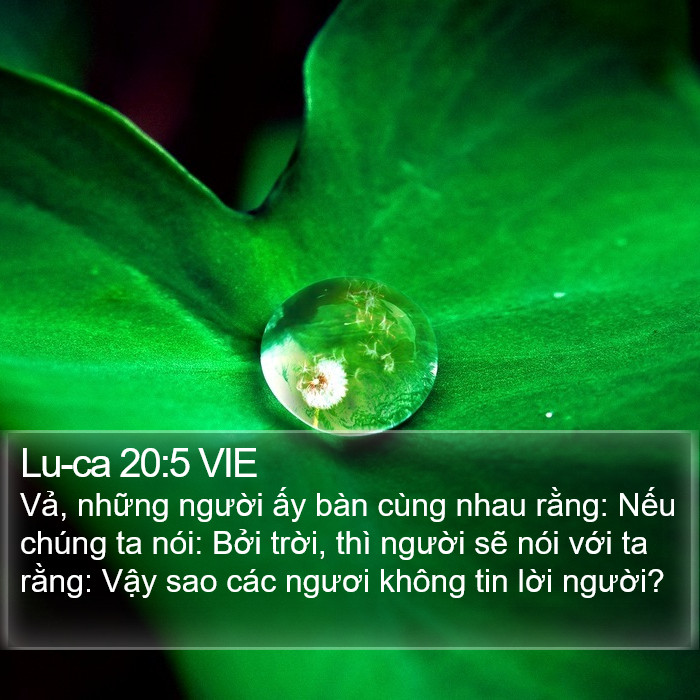 Lu-ca 20:5 VIE Bible Study