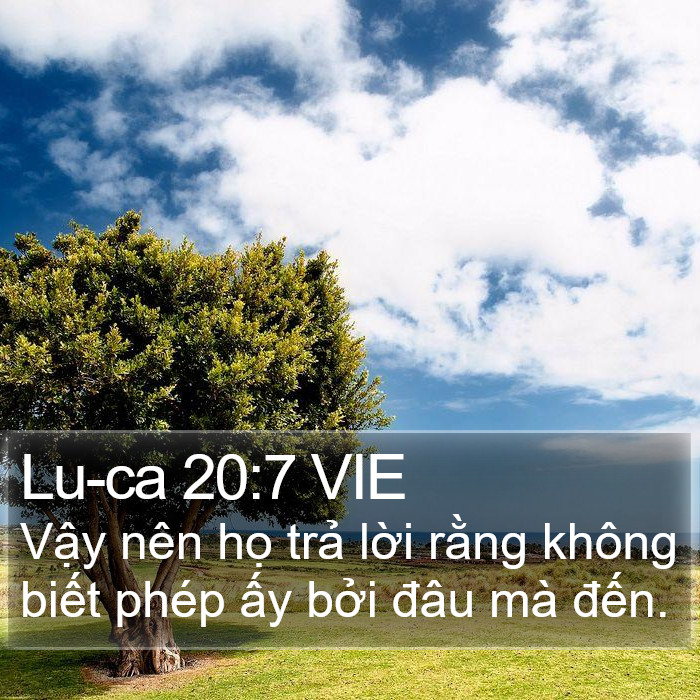 Lu-ca 20:7 VIE Bible Study