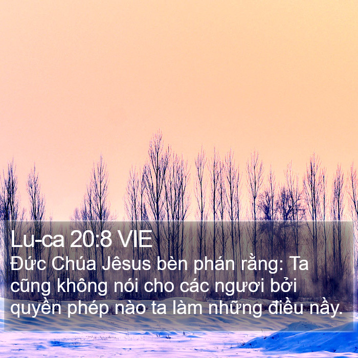 Lu-ca 20:8 VIE Bible Study