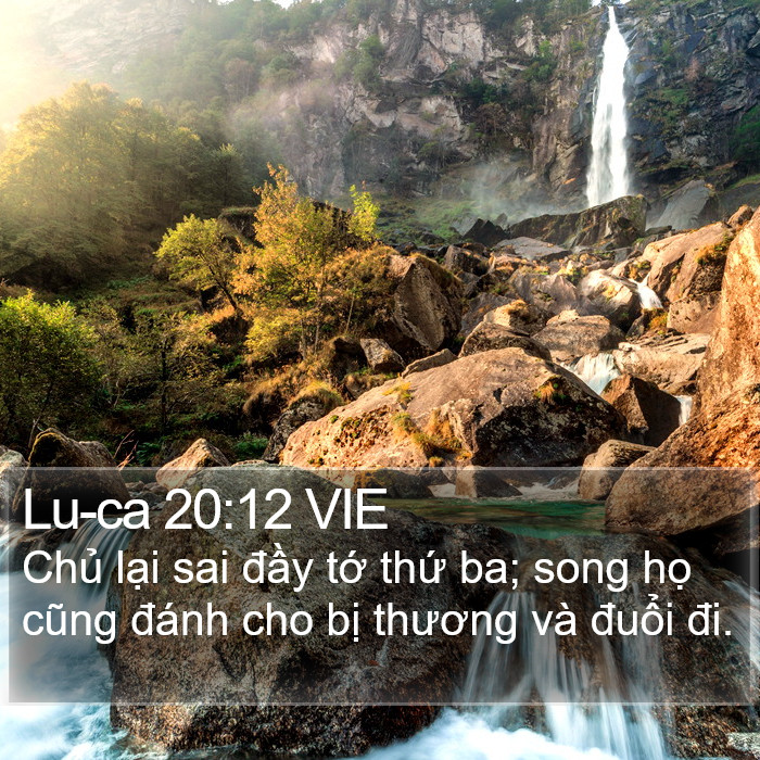 Lu-ca 20:12 VIE Bible Study