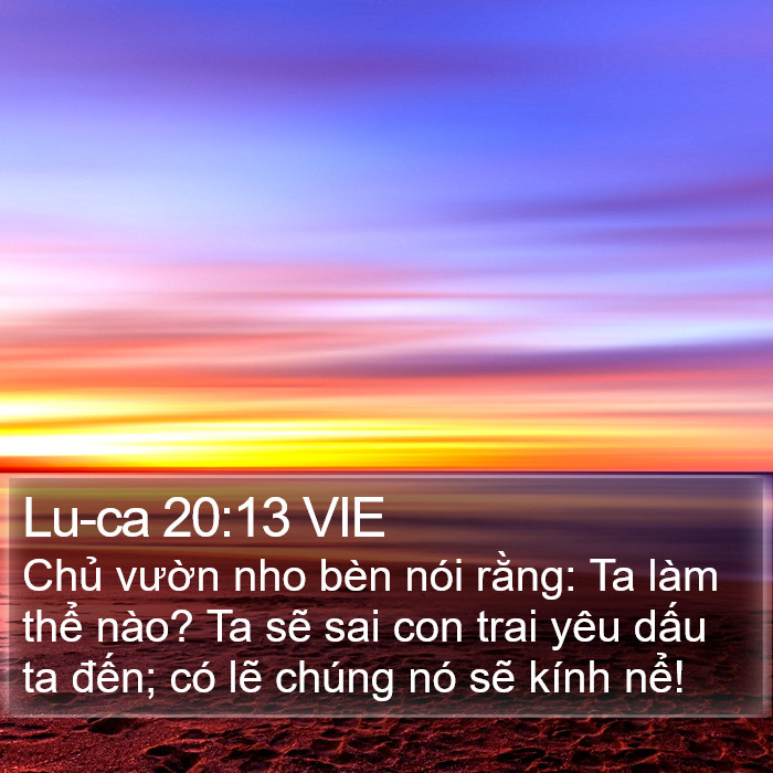 Lu-ca 20:13 VIE Bible Study