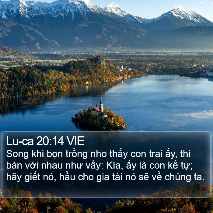 Lu-ca 20:14 VIE Bible Study