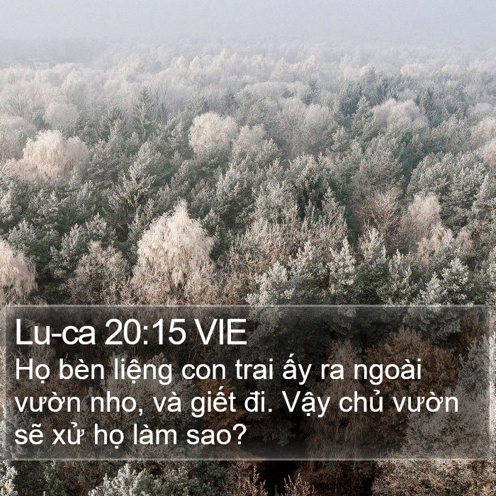 Lu-ca 20:15 VIE Bible Study