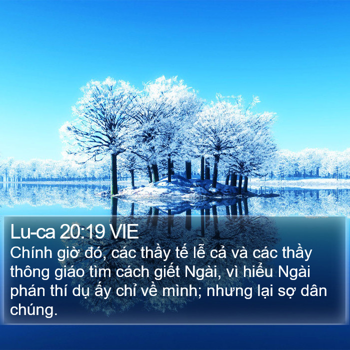 Lu-ca 20:19 VIE Bible Study