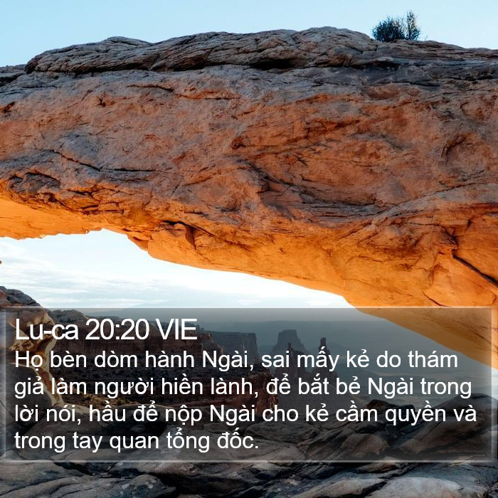 Lu-ca 20:20 VIE Bible Study