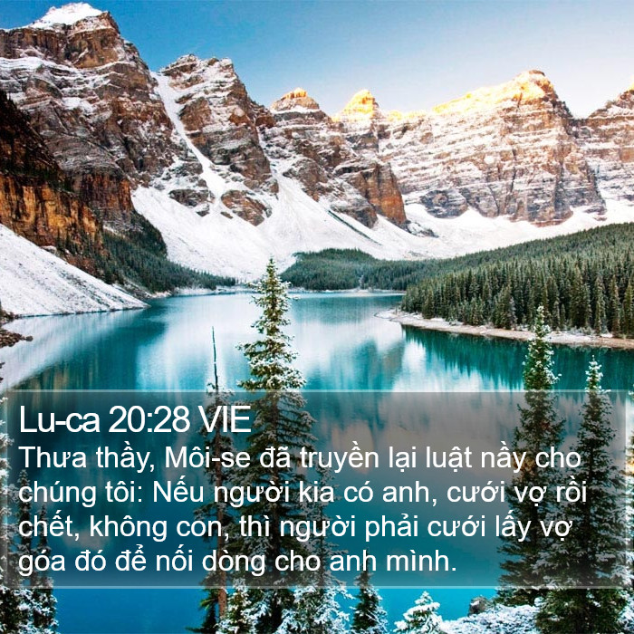 Lu-ca 20:28 VIE Bible Study