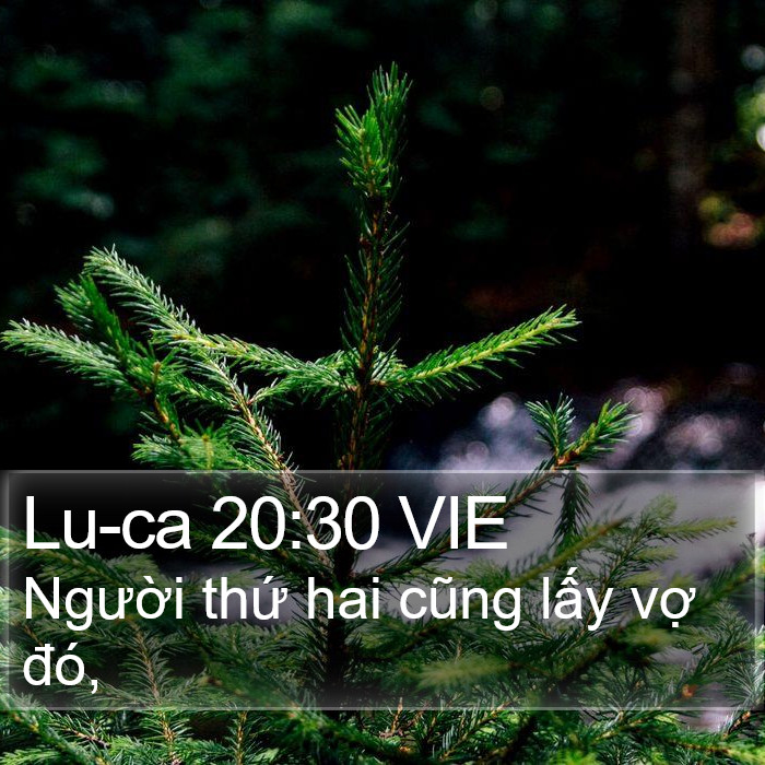 Lu-ca 20:30 VIE Bible Study