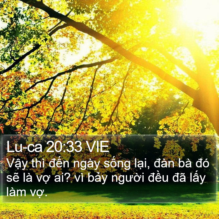 Lu-ca 20:33 VIE Bible Study