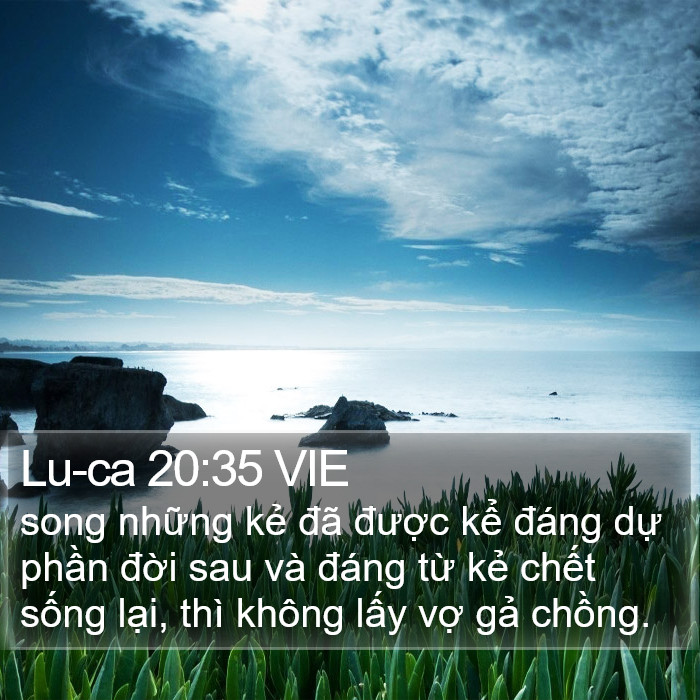 Lu-ca 20:35 VIE Bible Study