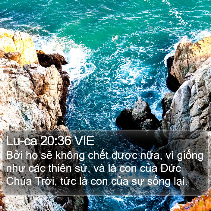 Lu-ca 20:36 VIE Bible Study