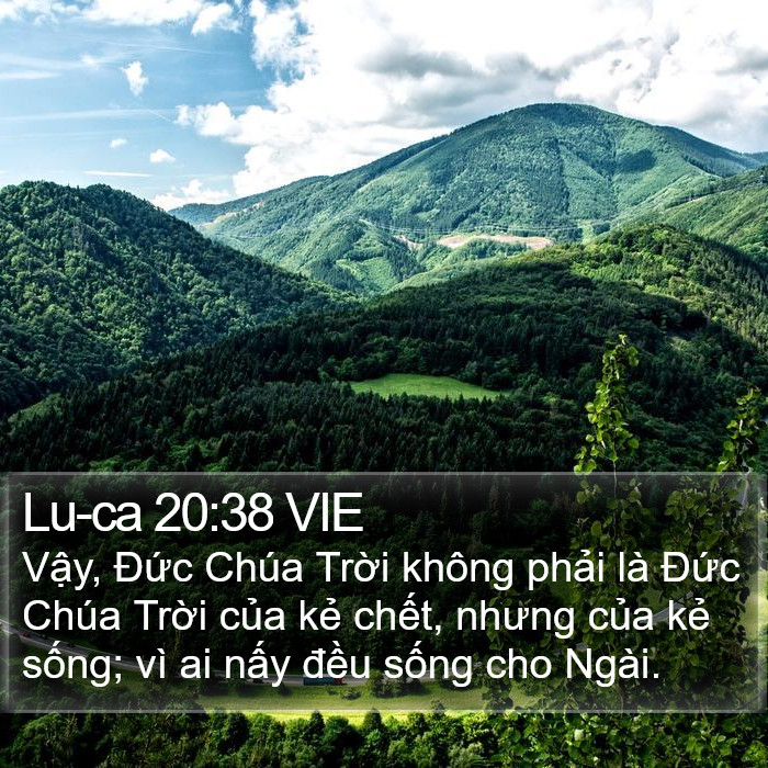 Lu-ca 20:38 VIE Bible Study