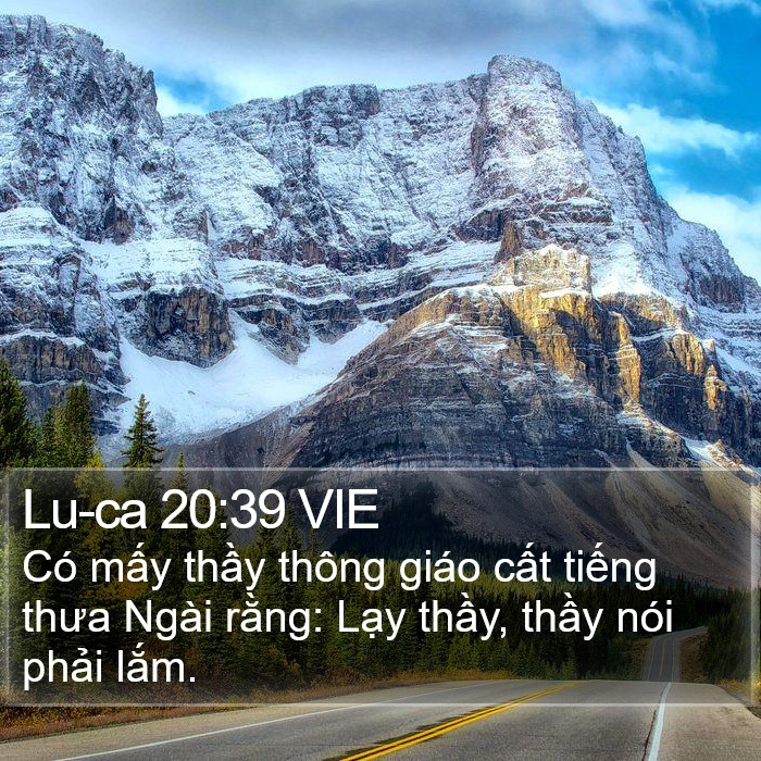 Lu-ca 20:39 VIE Bible Study