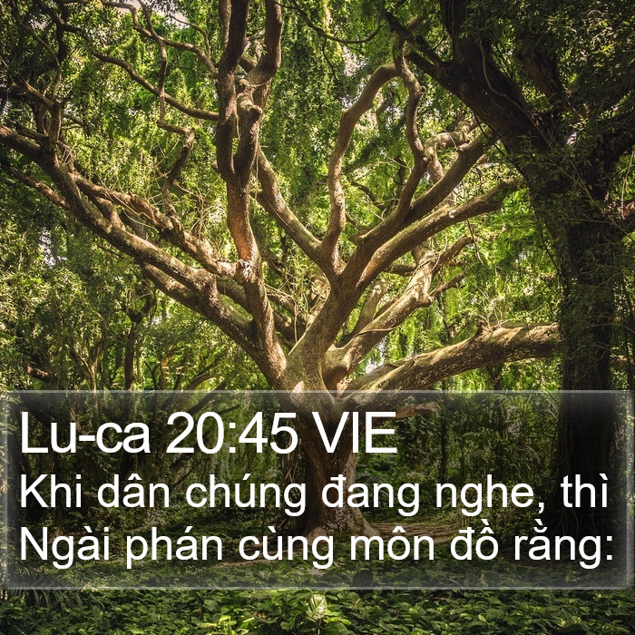 Lu-ca 20:45 VIE Bible Study