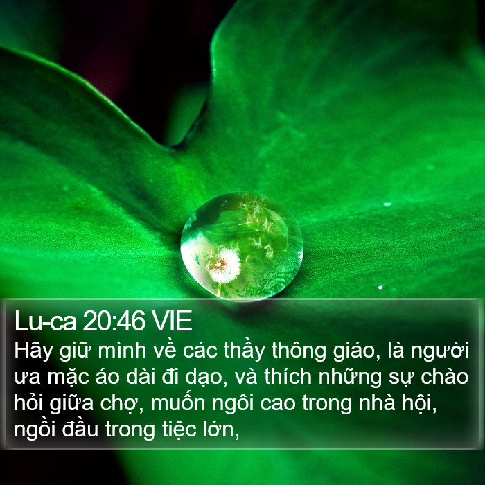 Lu-ca 20:46 VIE Bible Study