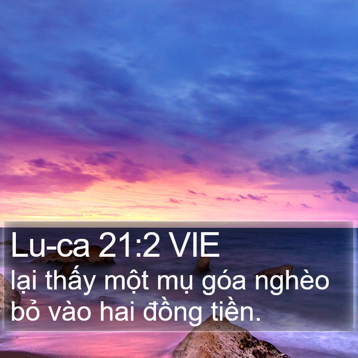 Lu-ca 21:2 VIE Bible Study