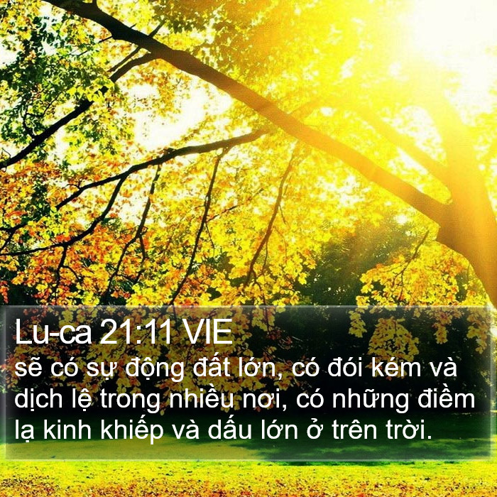 Lu-ca 21:11 VIE Bible Study