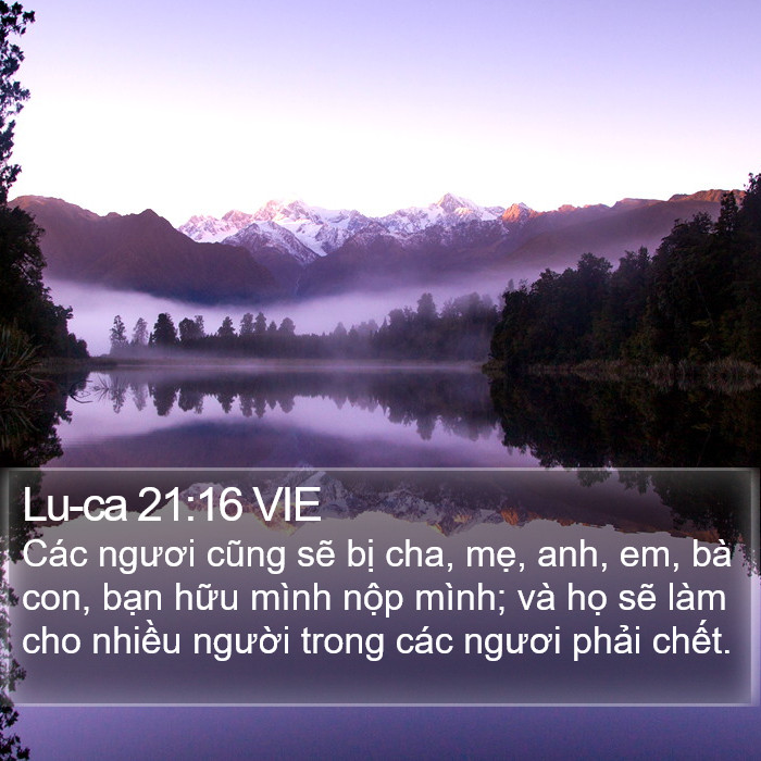 Lu-ca 21:16 VIE Bible Study