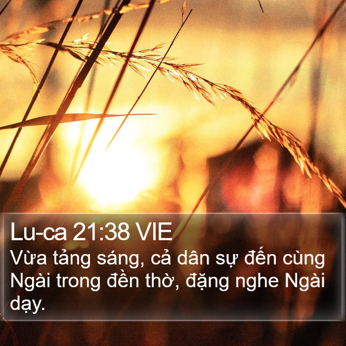 Lu-ca 21:38 VIE Bible Study