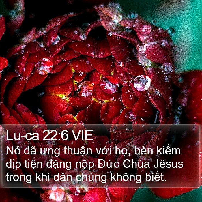 Lu-ca 22:6 VIE Bible Study