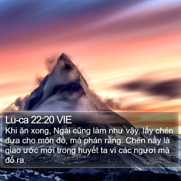 Lu-ca 22:20 VIE Bible Study