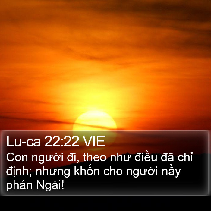 Lu-ca 22:22 VIE Bible Study