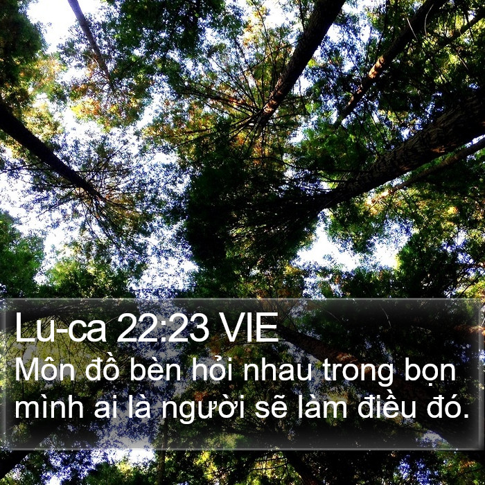 Lu-ca 22:23 VIE Bible Study