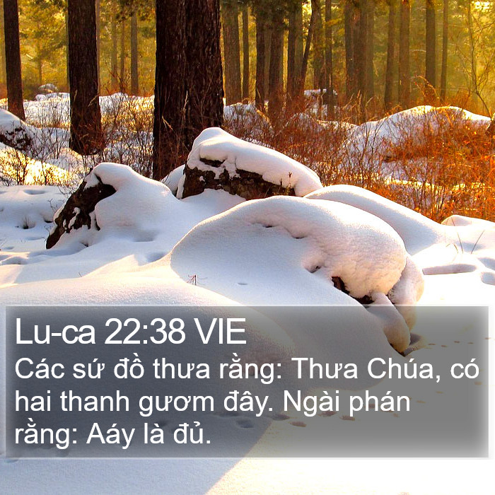 Lu-ca 22:38 VIE Bible Study