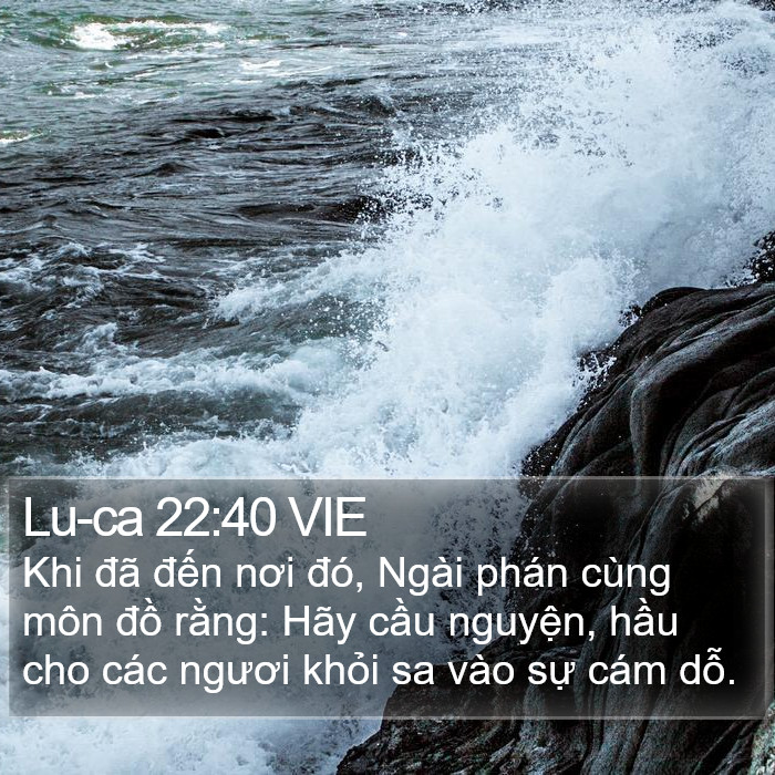 Lu-ca 22:40 VIE Bible Study