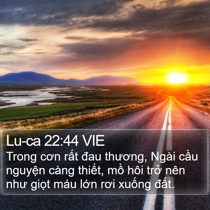 Lu-ca 22:44 VIE Bible Study