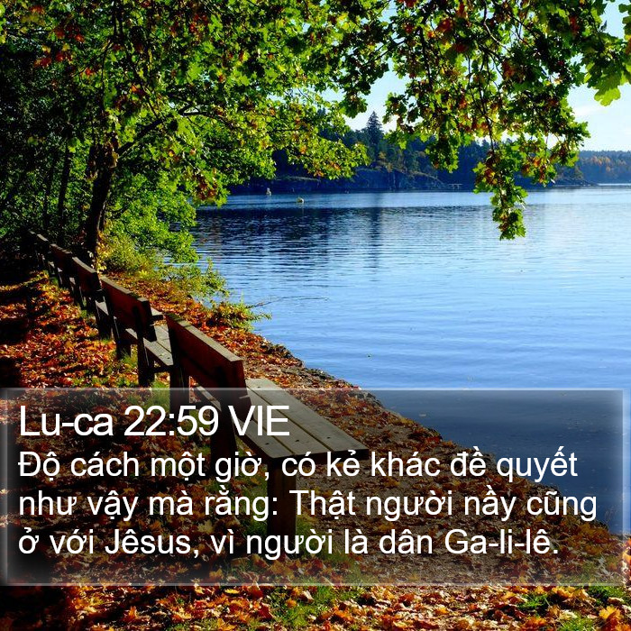Lu-ca 22:59 VIE Bible Study