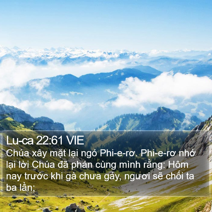 Lu-ca 22:61 VIE Bible Study